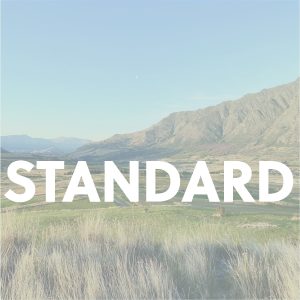 jobs recruitment in queenstown